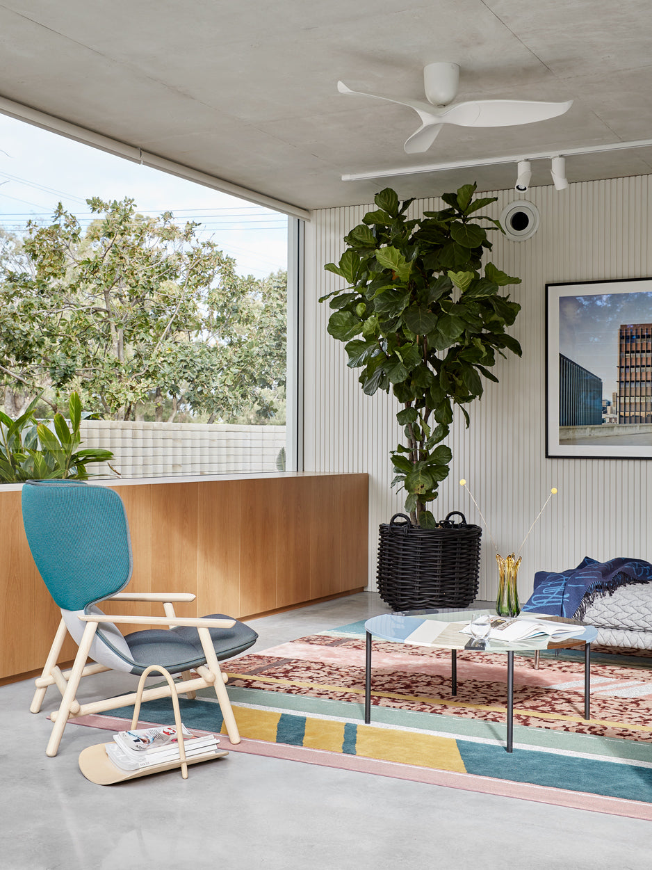 Newly Designed Room with a plant
